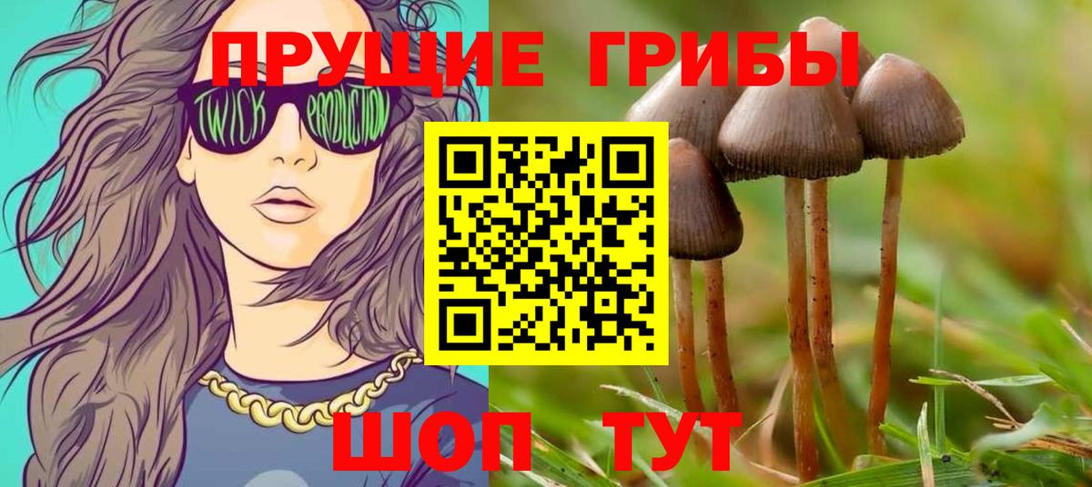 Сосновоборск  Псилоцибиновые грибы мухоморы  Вход с VPN 