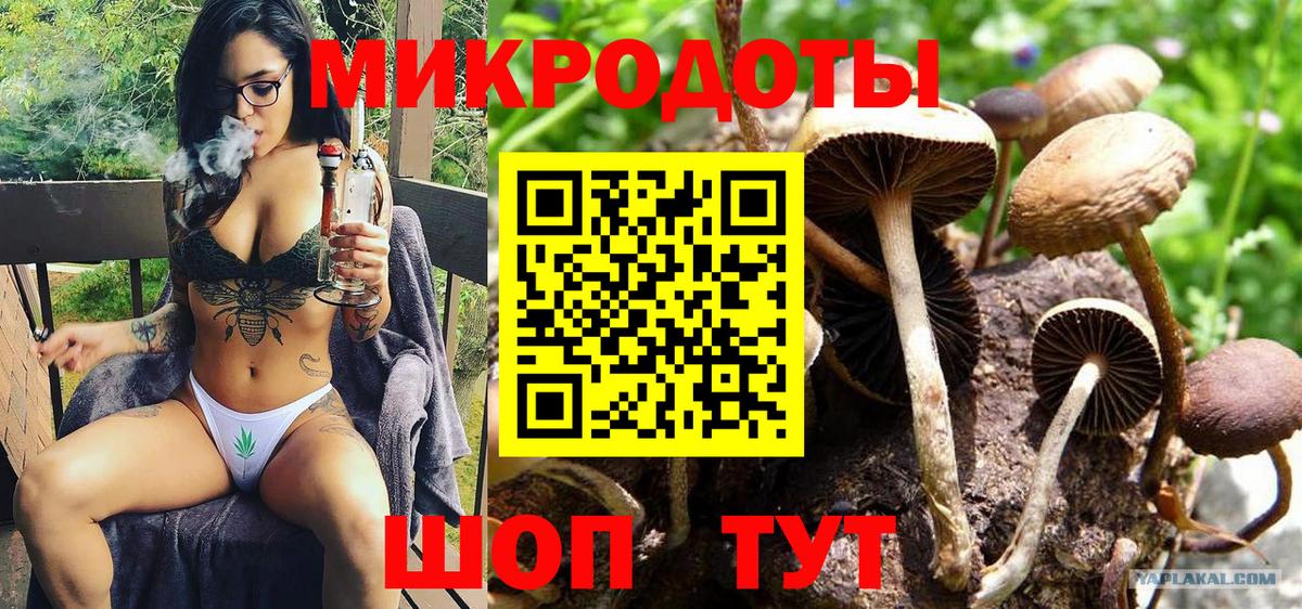 Псилоцибиновые грибы мухоморы Сосновоборск